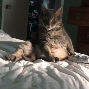 Meet your Posher, Bbrygida